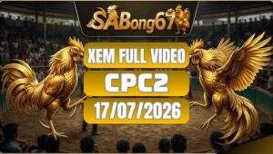 Tổng Hợp Video Đá Gà CPC2 Ngày 17/07/2026 Tại SABONG67