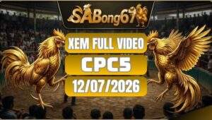 Tổng Hợp Video Đá Gà CPC5 Ngày 12/07/2026 Tại SABONG67