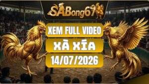 Tổng Hợp Video Đá Gà Xà Xía Ngày 14/07/2026 Tại SABONG67