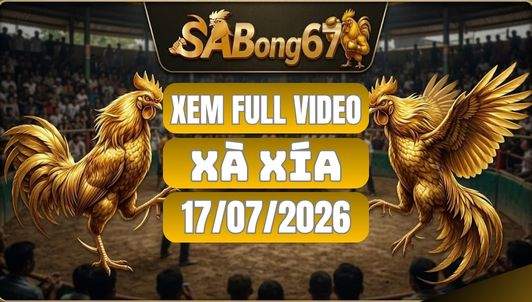 Tổng Hợp Video Đá Gà Xà Xía Ngày 17/07/2026 Tại SABONG67