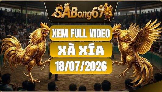 Tổng Hợp Video Đá Gà Xà Xía Ngày 18/07/2026 Tại SABONG67